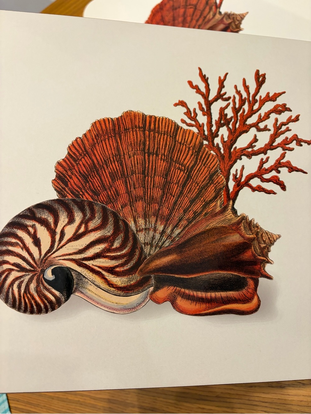Stunning nautical hardboard placemat (set of 4)